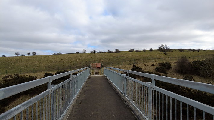 M6bridgeShap4 M6bridgeShap4