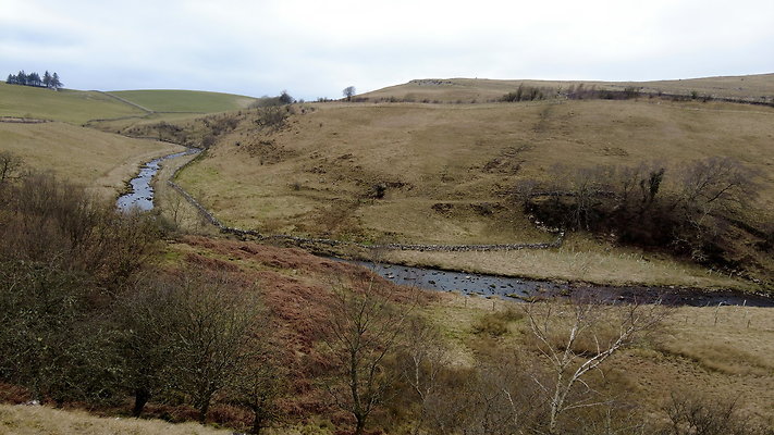 SmardaleGill17 SmardaleGill17