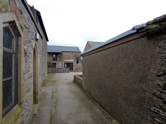 KirbyStephen20 KirbyStephen20