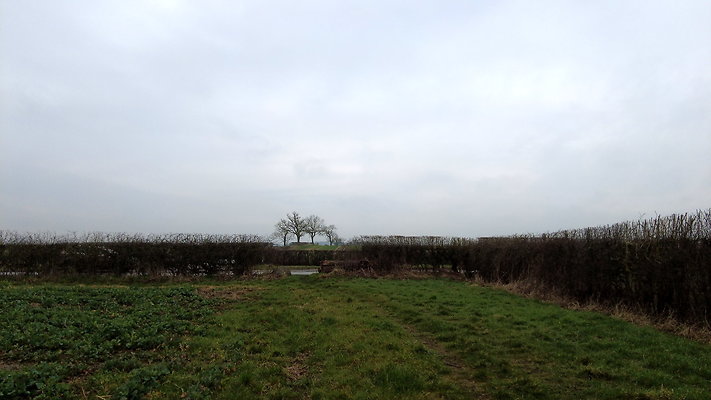 DanbyWiske10 DanbyWiske10