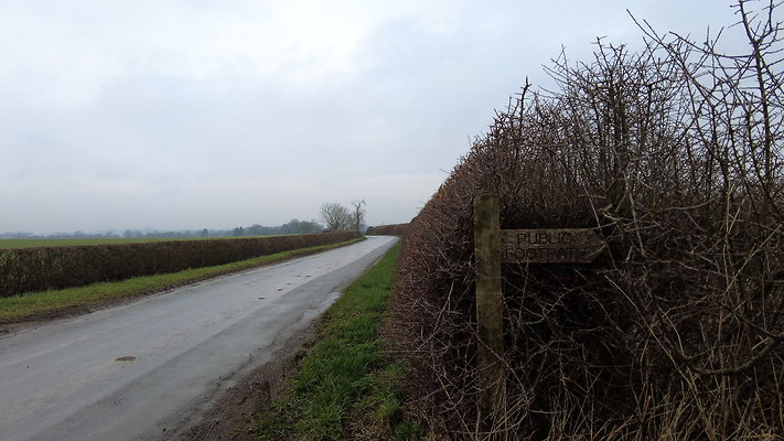 DanbyWiske13 DanbyWiske13