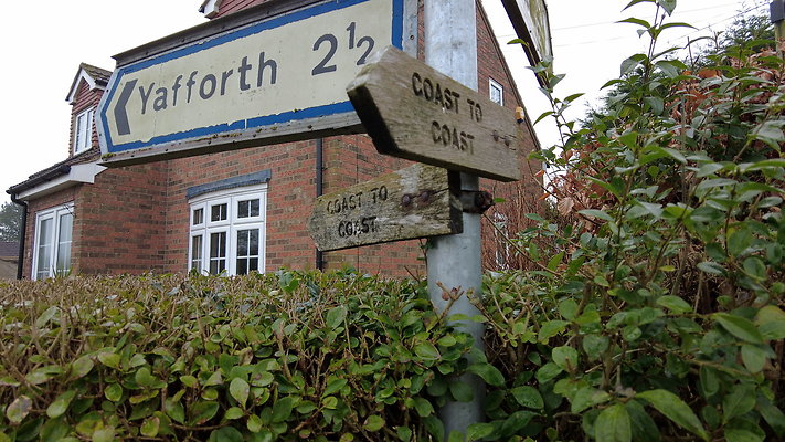 DanbyWiske8 DanbyWiske8