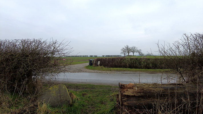 DanbyWiske12 DanbyWiske12