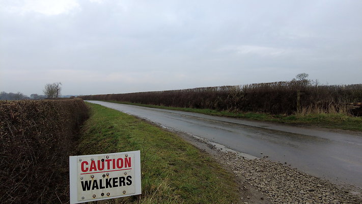 DanbyWiske15 DanbyWiske15