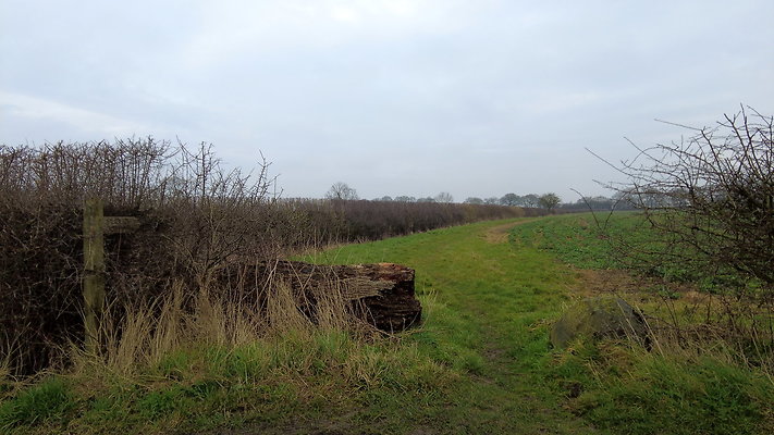 DanbyWiske14 DanbyWiske14