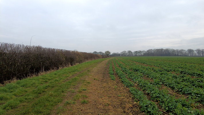 DanbyWiske11 DanbyWiske11