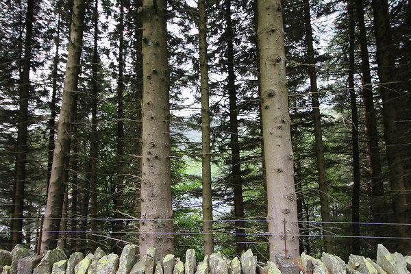 haweswater083 haweswater083
