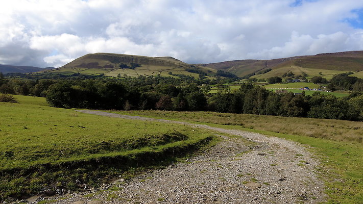 MamTor25048