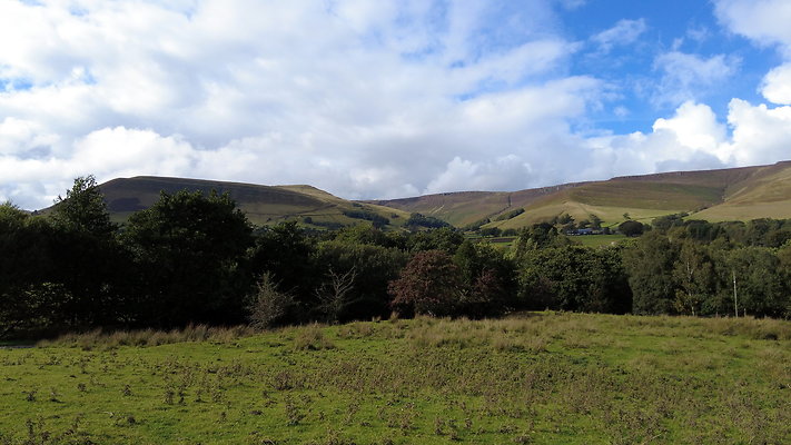 MamTor25049