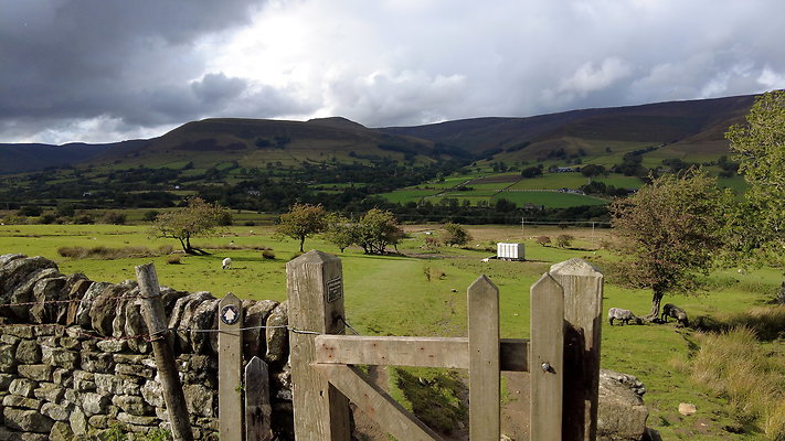 MamTor25047