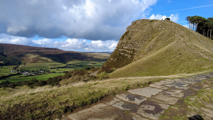 MamTor25027