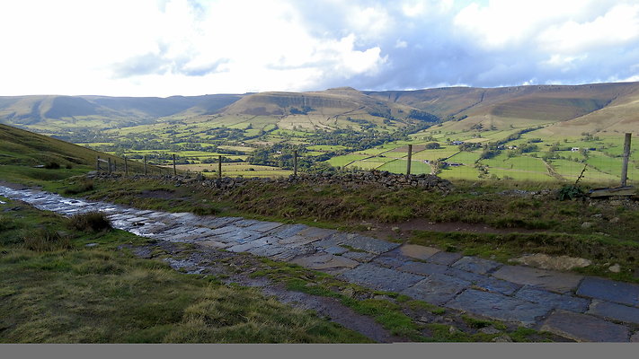 MamTor25059