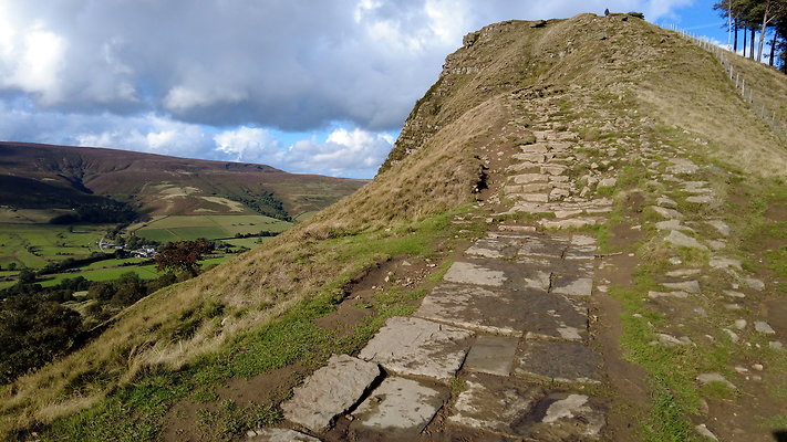 MamTor25025