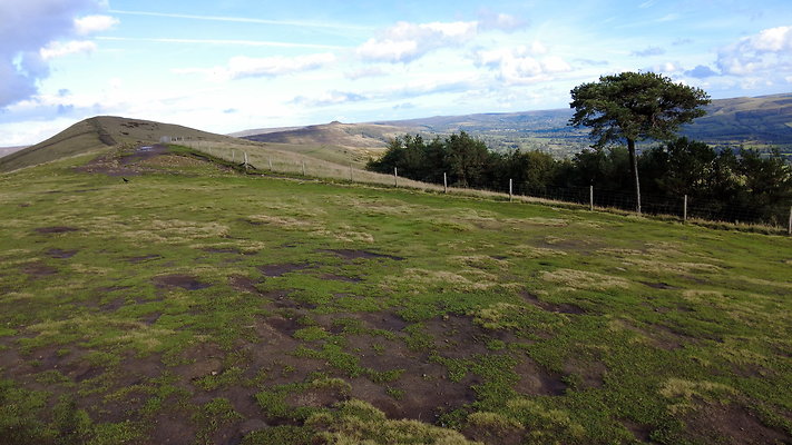 MamTor25019