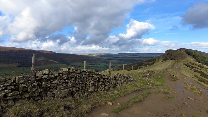 MamTor25036
