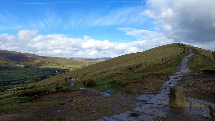 MamTor25061