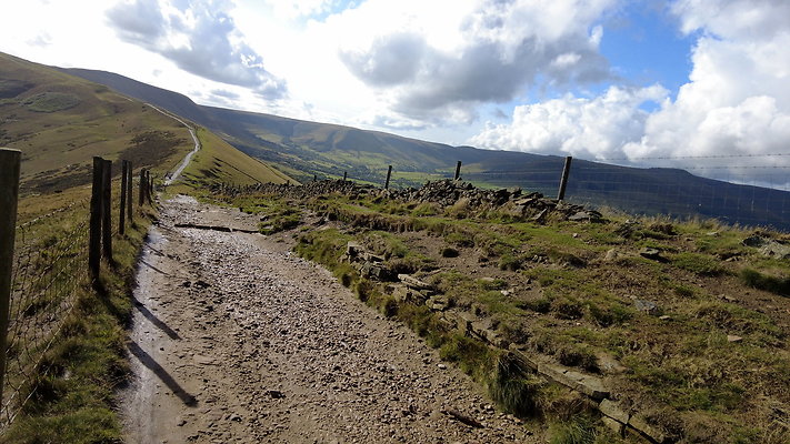 MamTor25055
