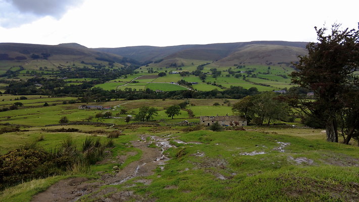 MamTor25046