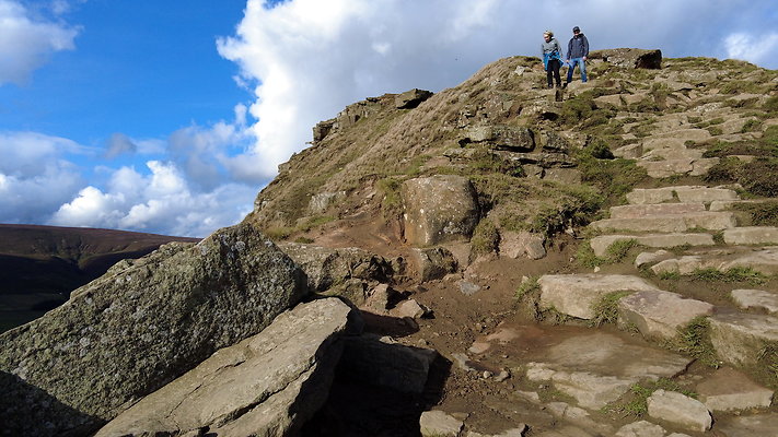 MamTor25022