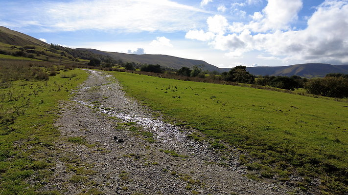 MamTor25073