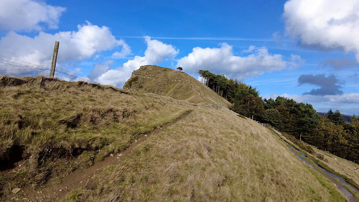 MamTor25030