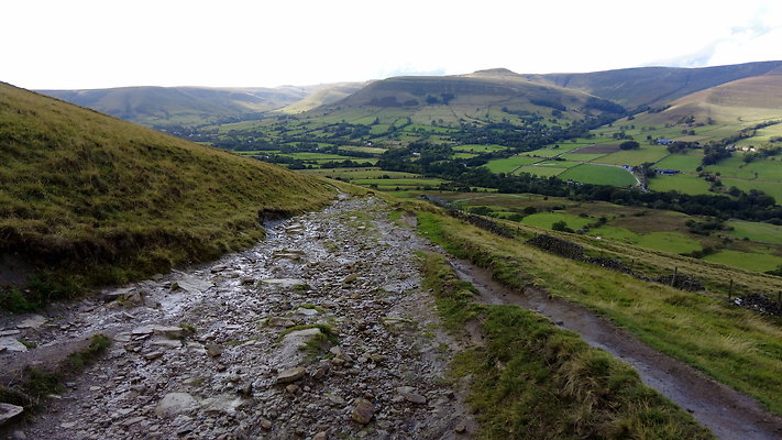 MamTor25067