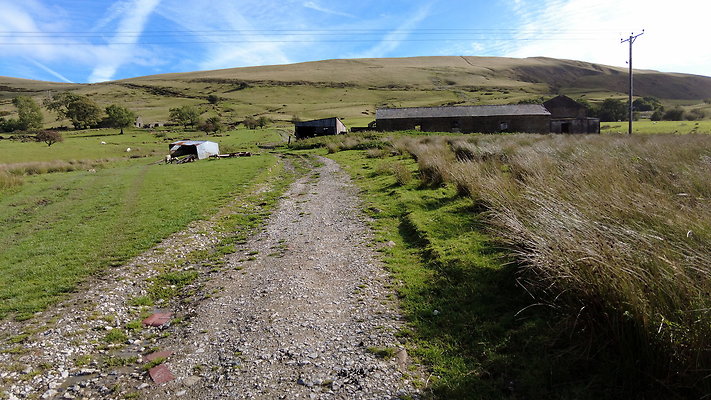 MamTor25072