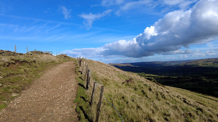 MamTor25054