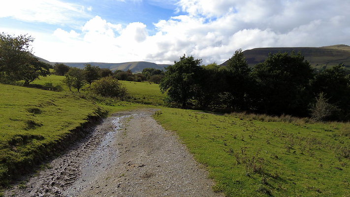 MamTor25076