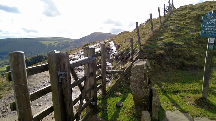 MamTor25029