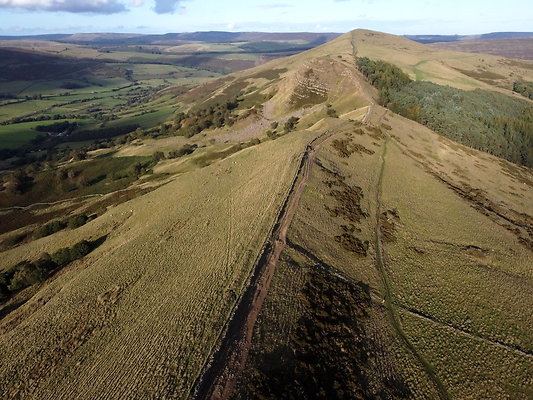 MamTor25001