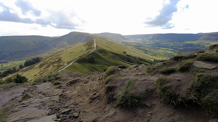 MamTor25020