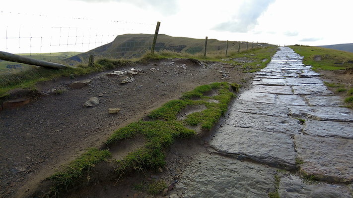 MamTor25064