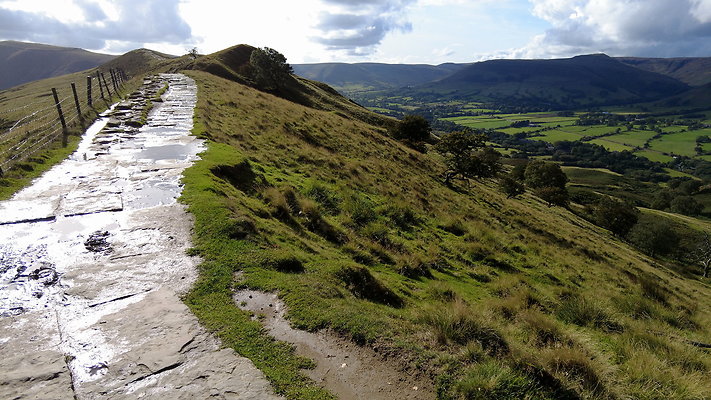 MamTor25024