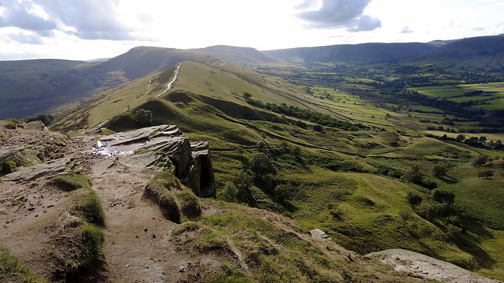 MamTor25018