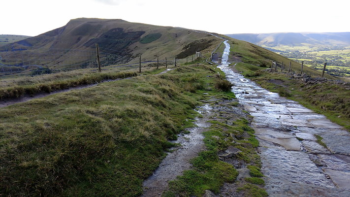 MamTor25041