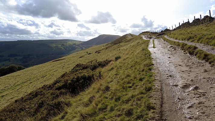 MamTor25032