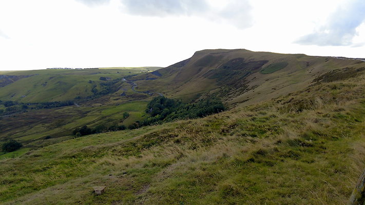 MamTor25063