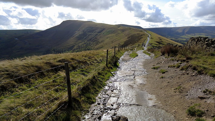 MamTor25058