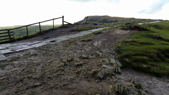 MamTor25039