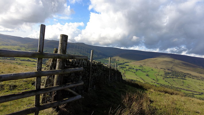 MamTor25053