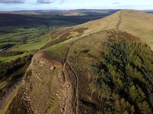 MamTor25015