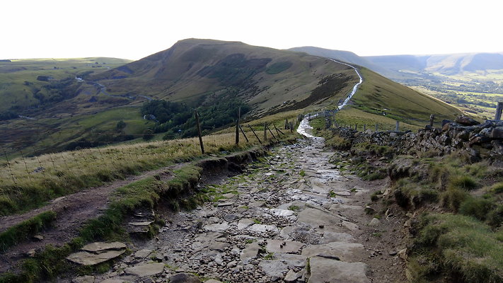 MamTor25057