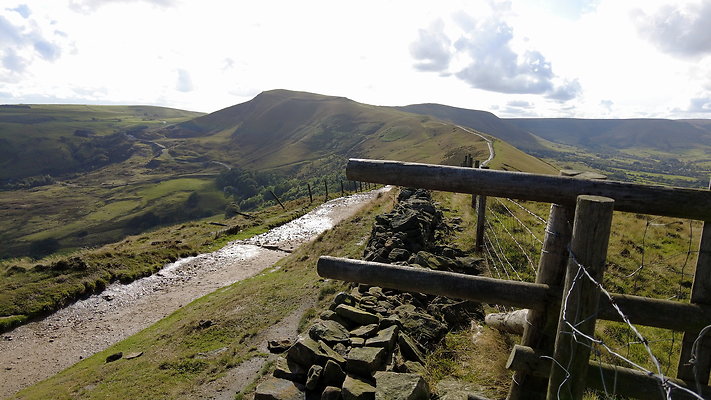 MamTor25040