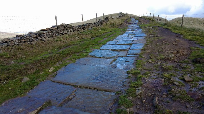 MamTor25060