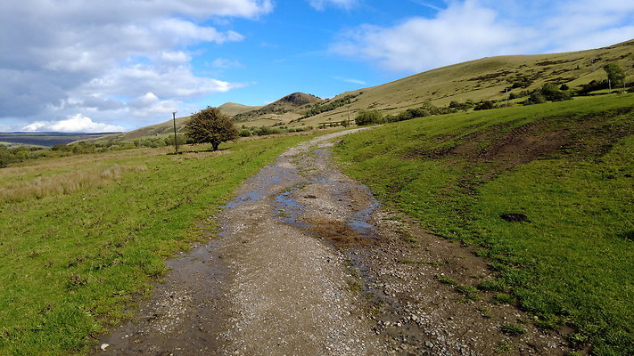 MamTor25075