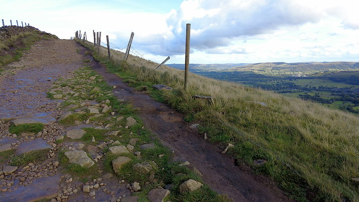 MamTor25056