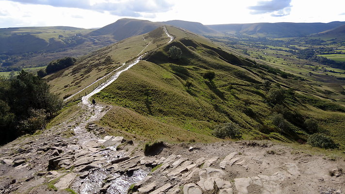 MamTor25023