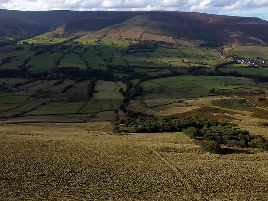 MamTor25012