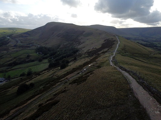MamTor25008